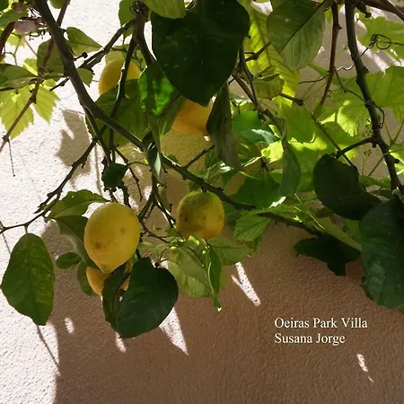 Park * Oeiras